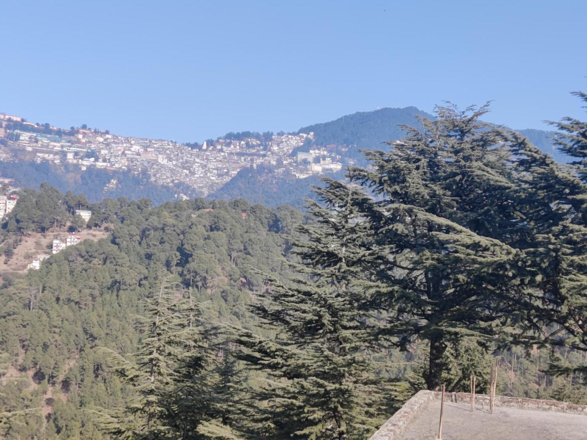 Shimla Hills Apartments 2Bhk Zimmer foto